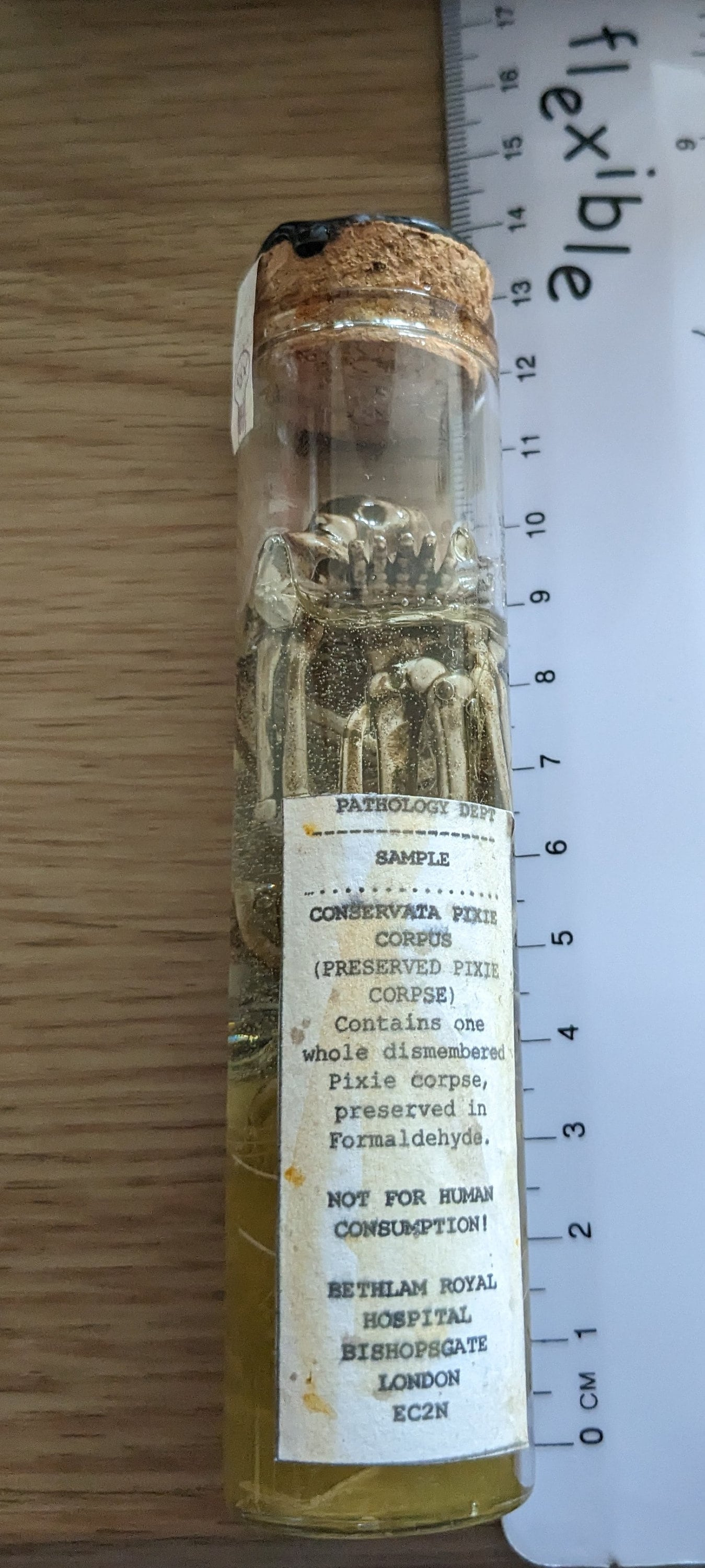 Preserved Pixie Corpse