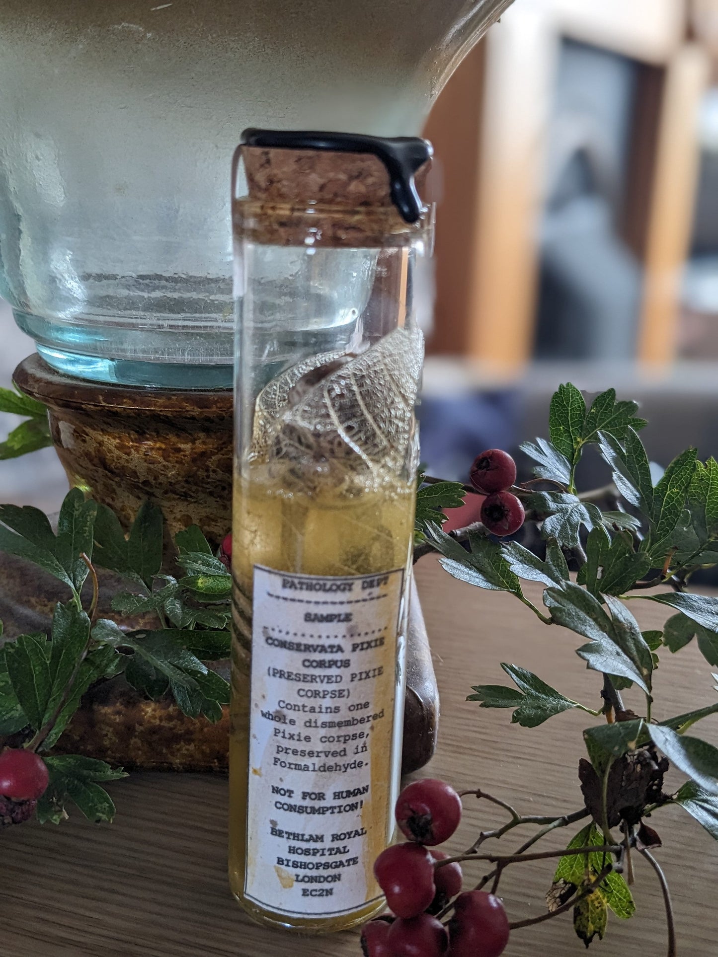 Preserved Pixie Corpse