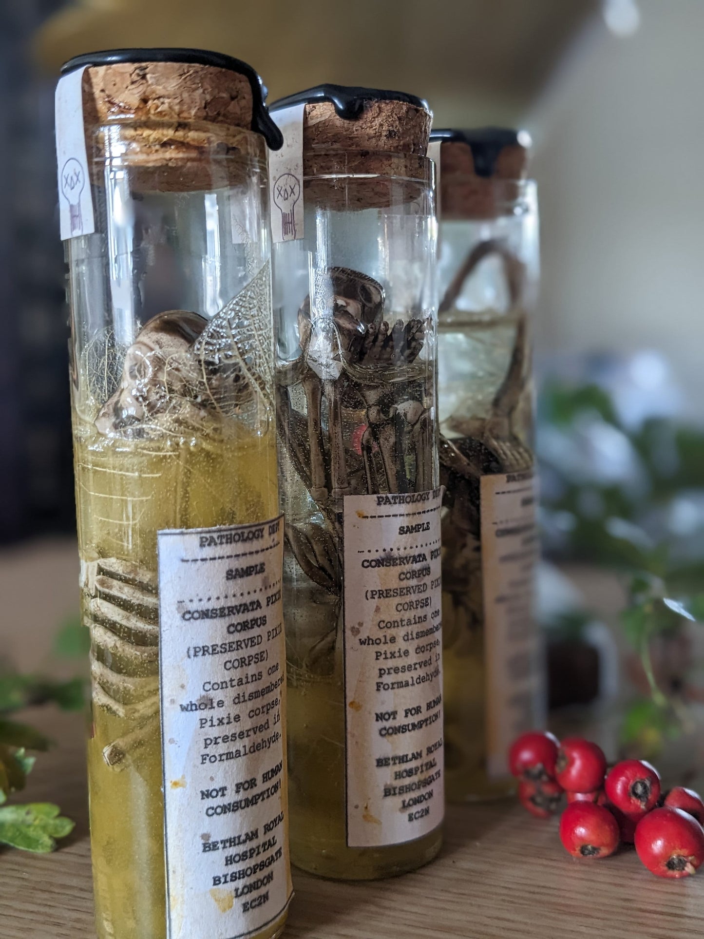 Preserved Pixie Corpse