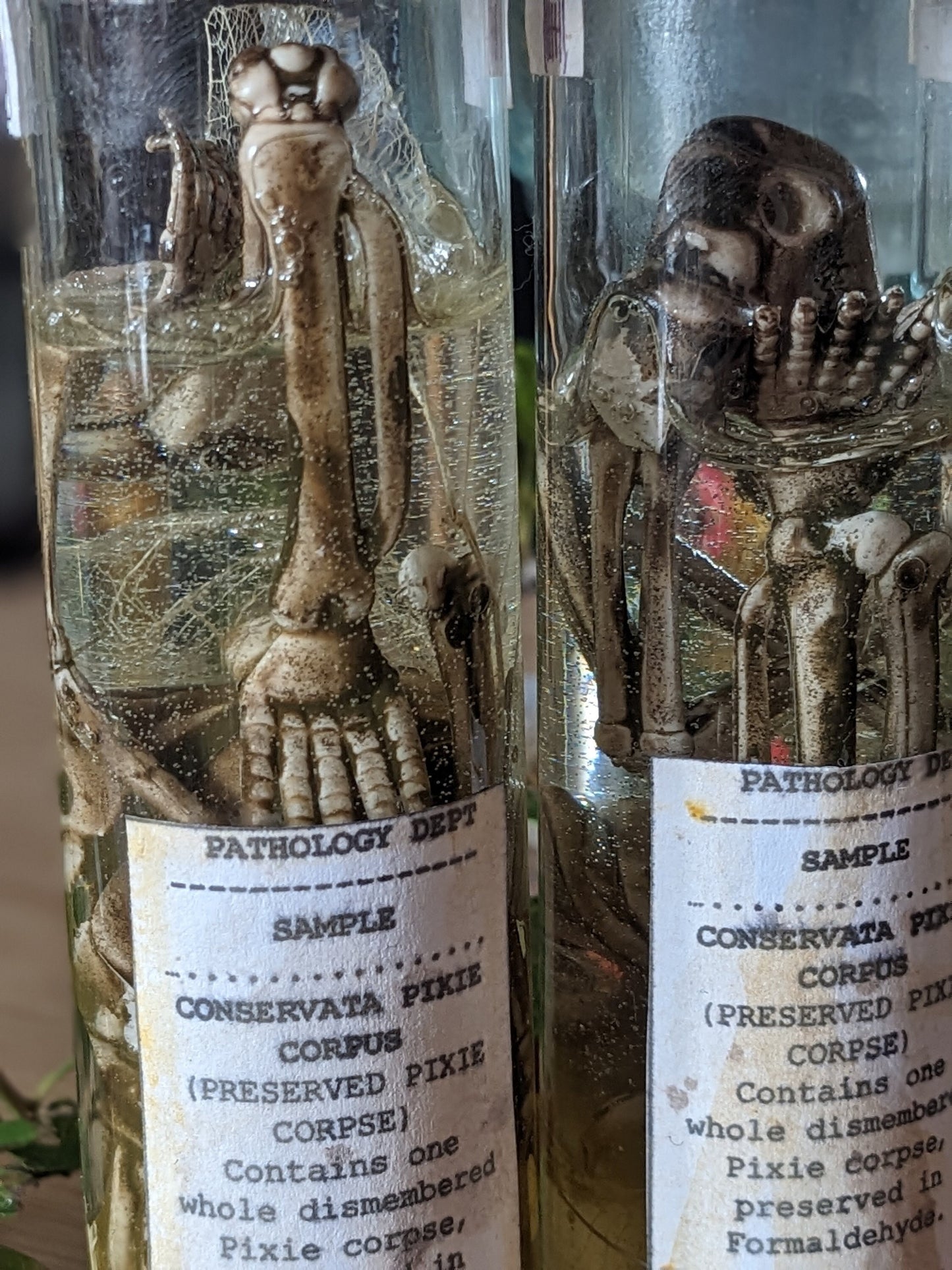Preserved Pixie Corpse