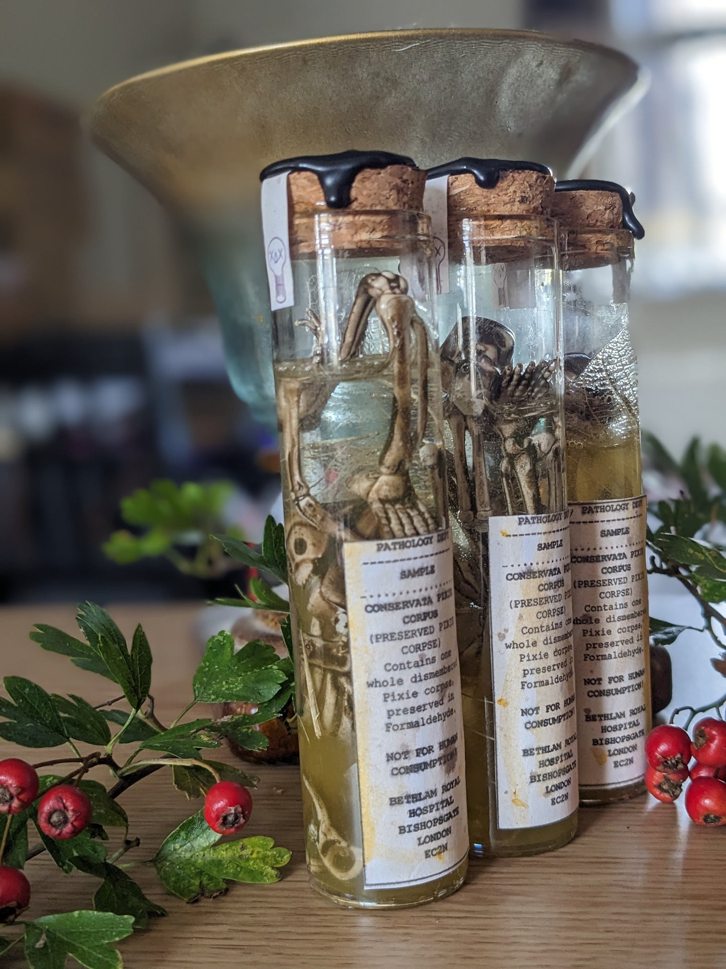 Preserved Pixie Corpse