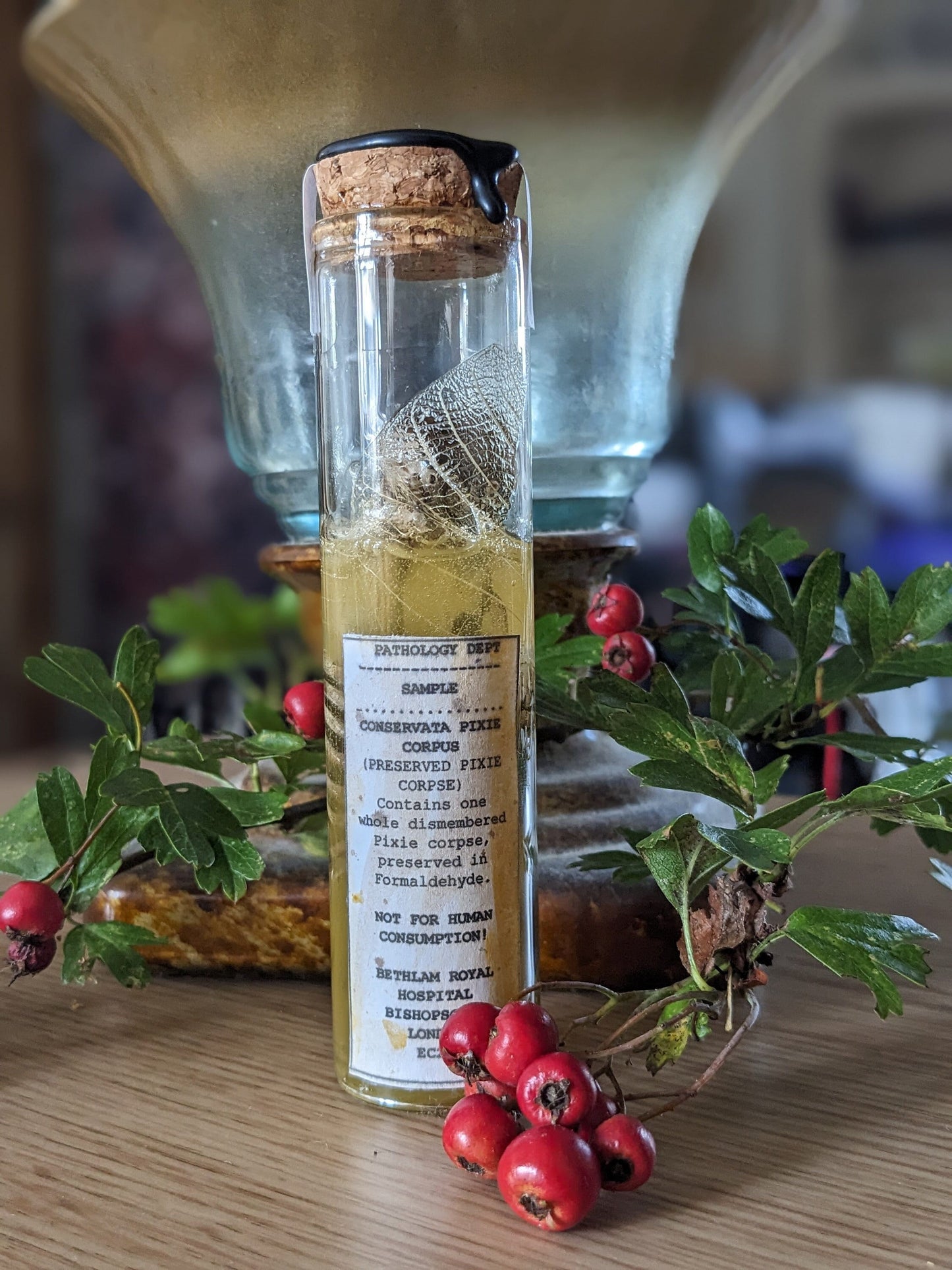 Preserved Pixie Corpse