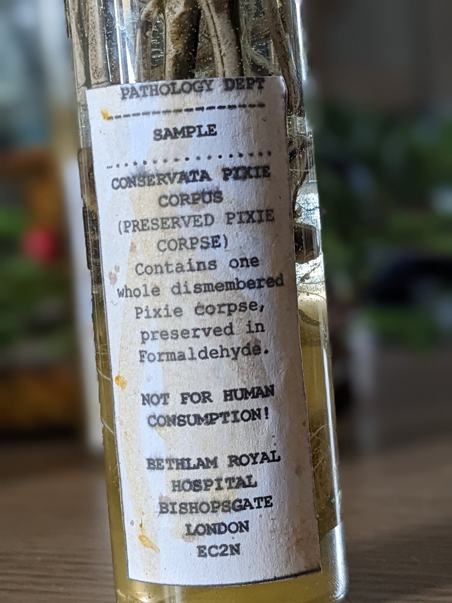 Preserved Pixie Corpse