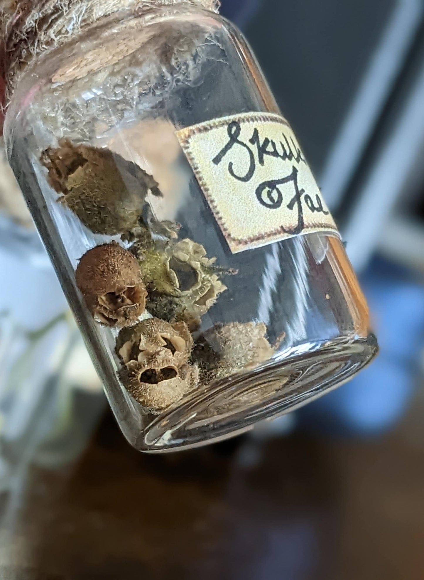 Skulls of the fae bottled fairy skulls snapdragons potion bottle ingredients