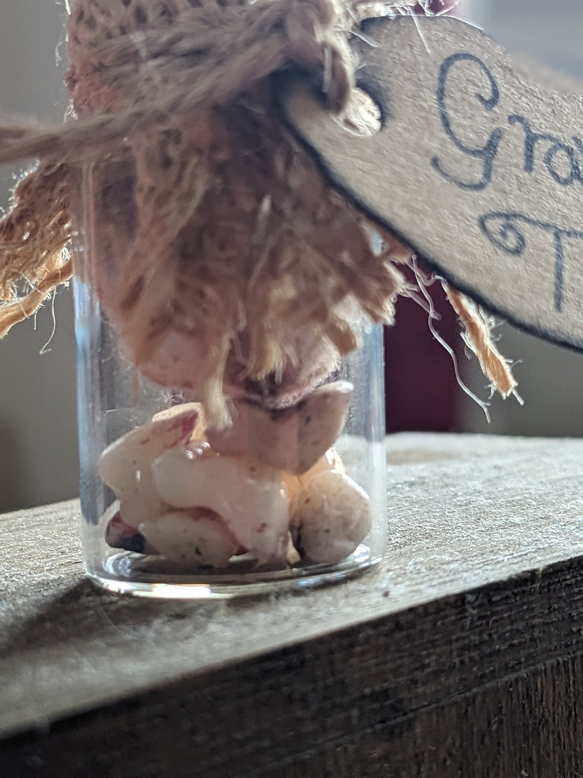 Graveyard Teeth, potion ingredient faux taxidermy