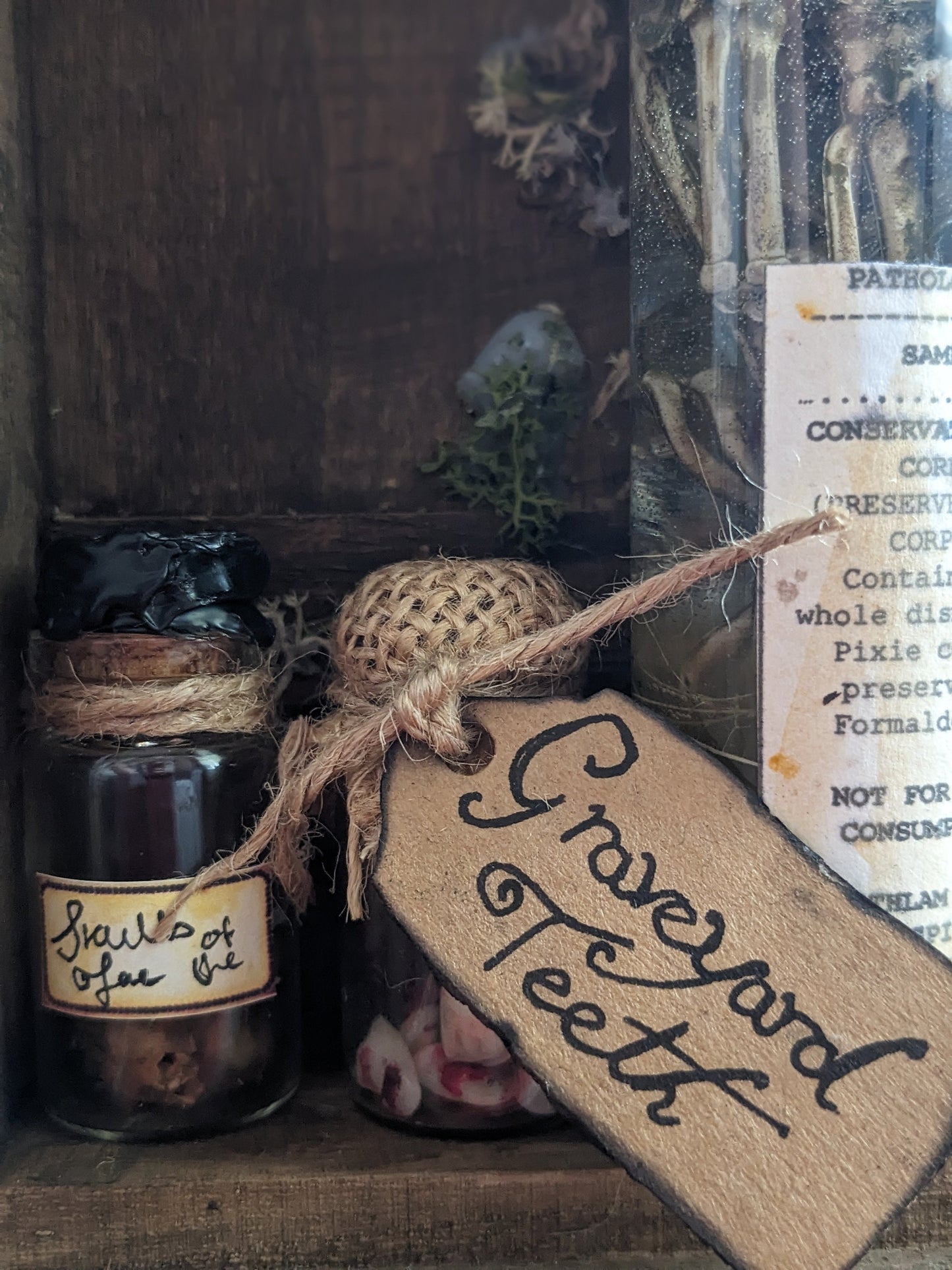 Graveyard Teeth, potion ingredient faux taxidermy