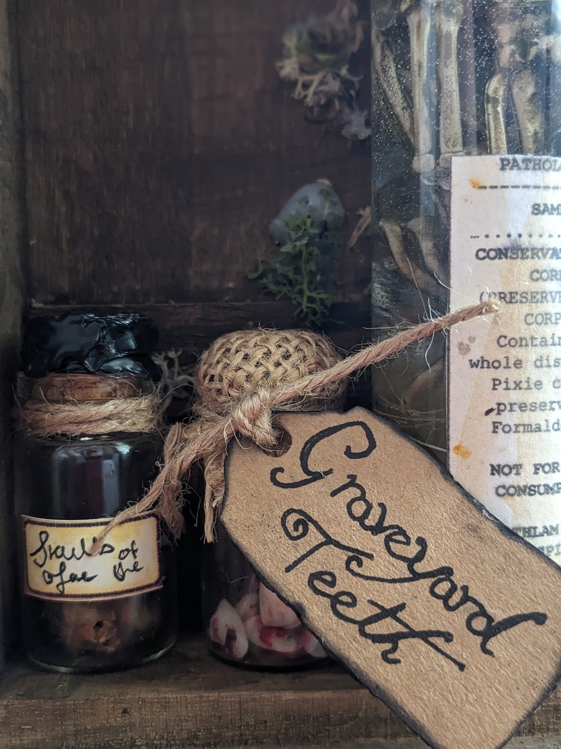 Graveyard Teeth, potion ingredient faux taxidermy