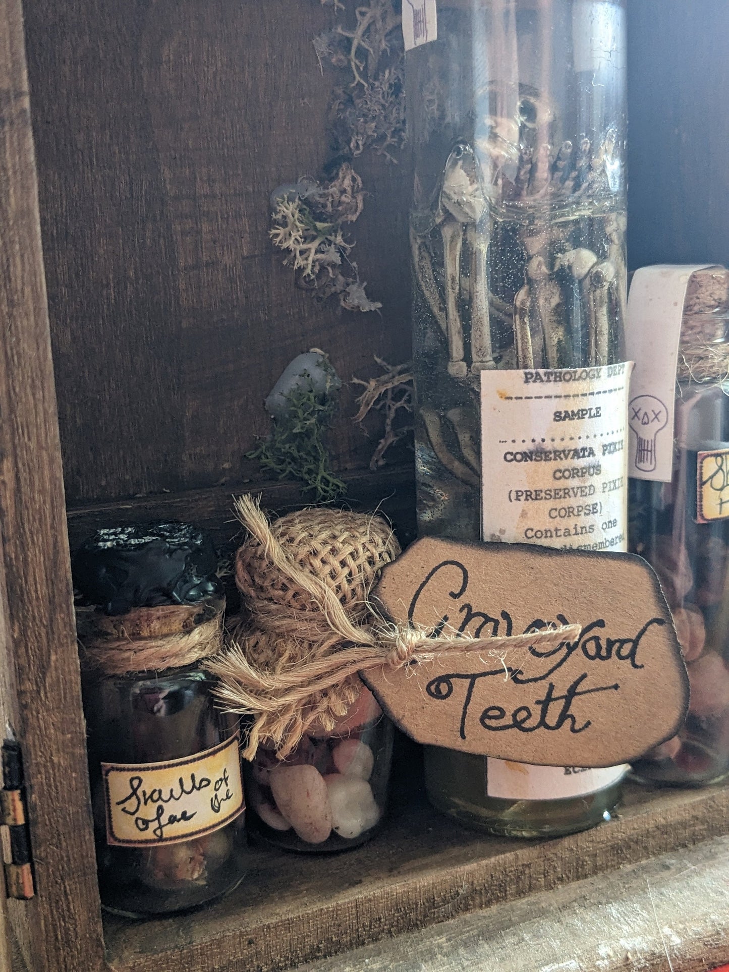 Graveyard Teeth, potion ingredient faux taxidermy