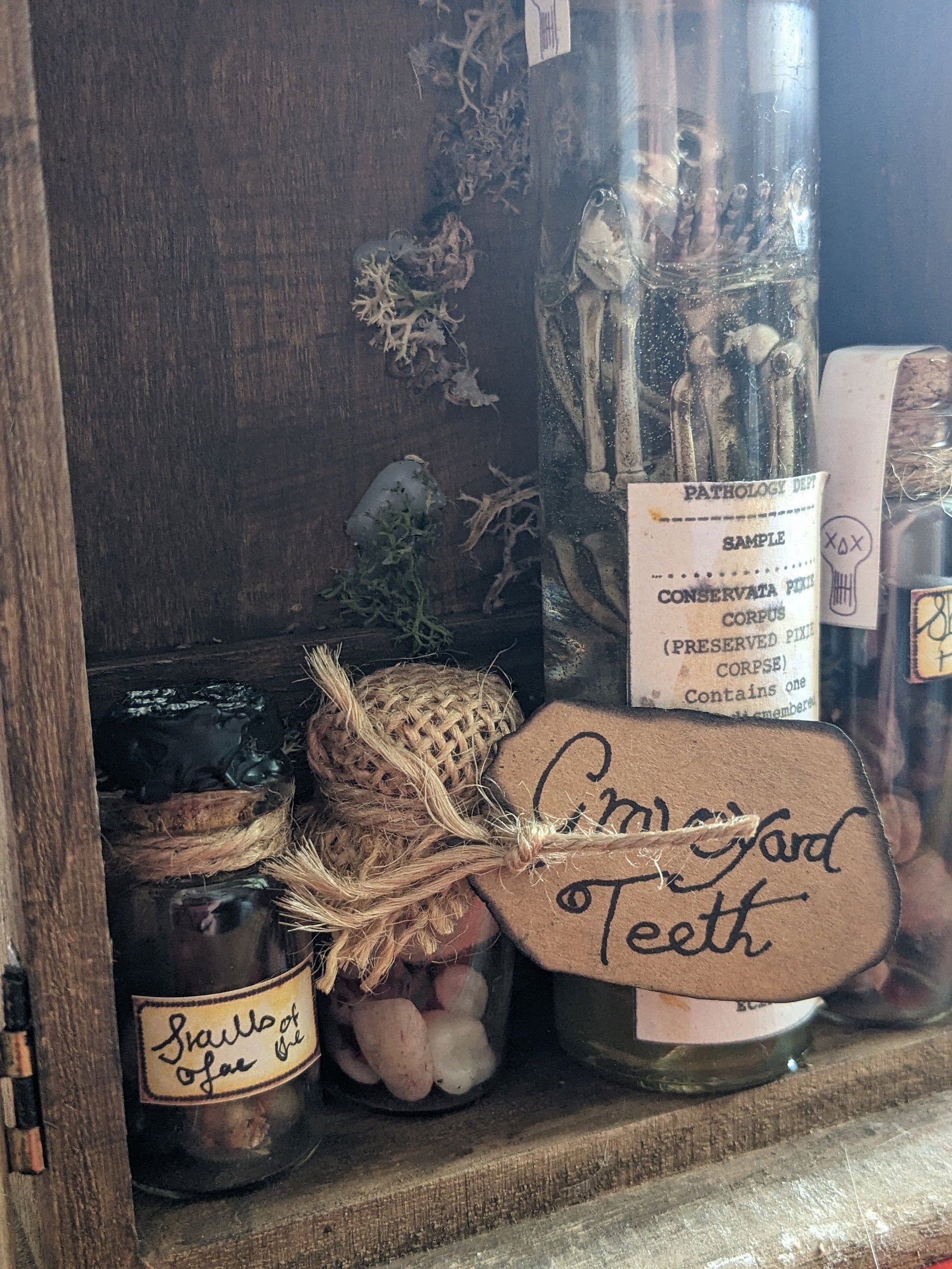 Graveyard Teeth, potion ingredient faux taxidermy