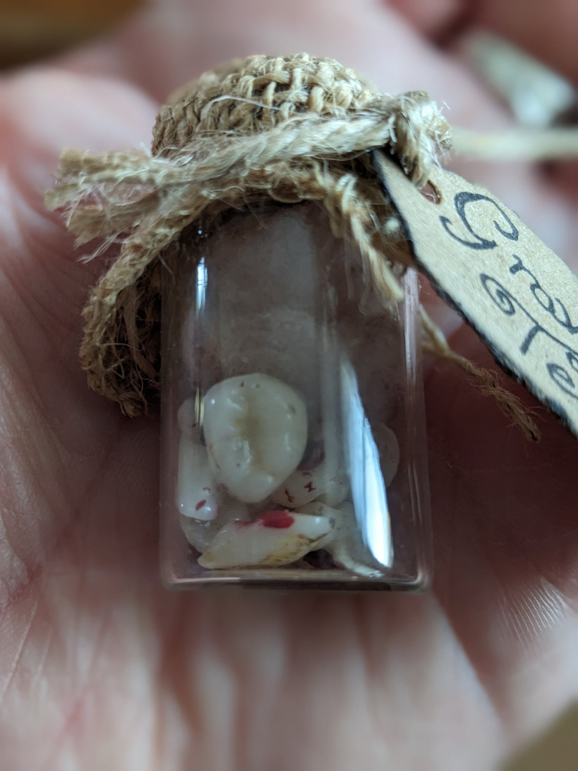Graveyard Teeth, potion ingredient faux taxidermy