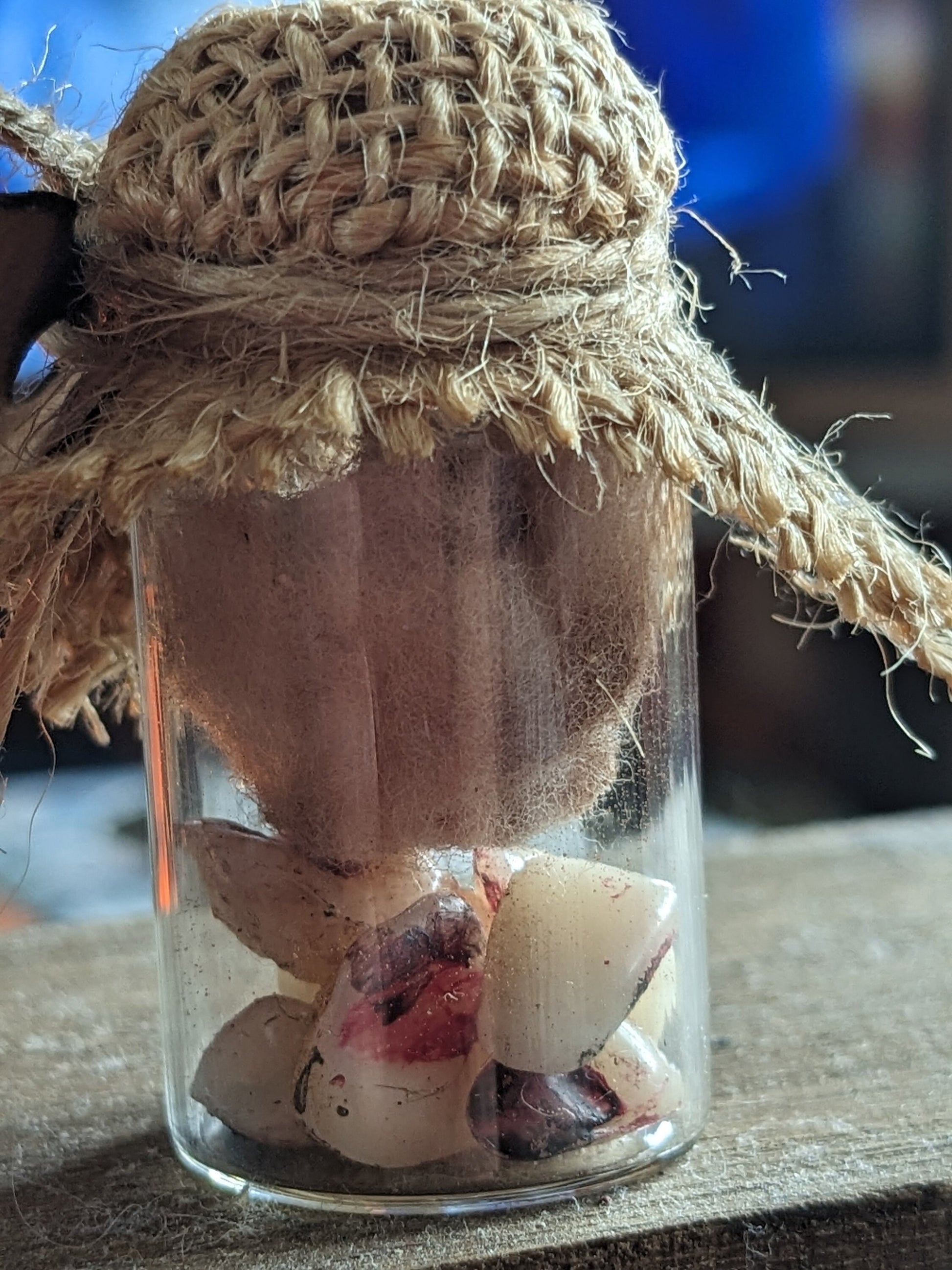 Graveyard Teeth, potion ingredient faux taxidermy