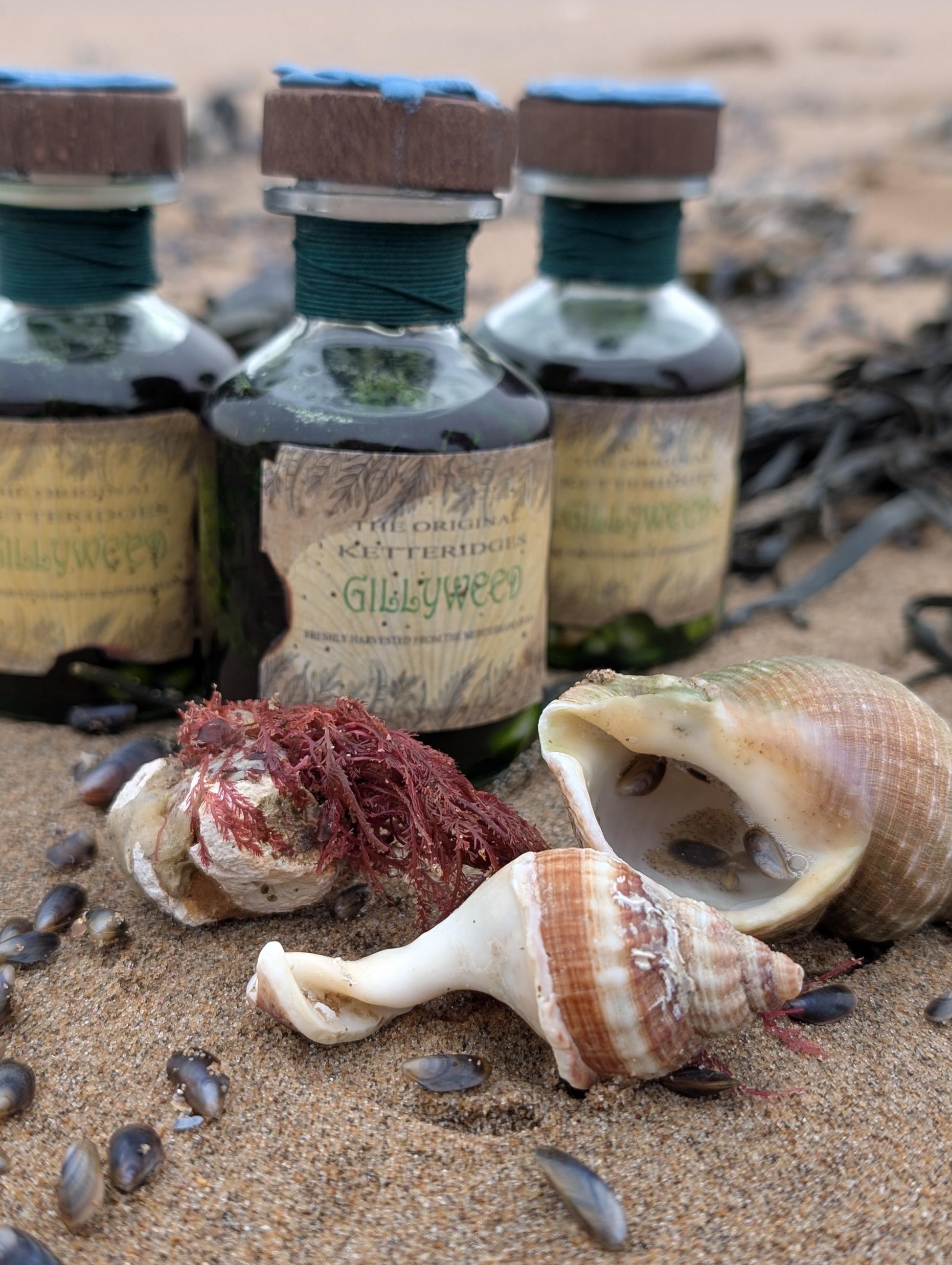 Gillyweed potion bottle