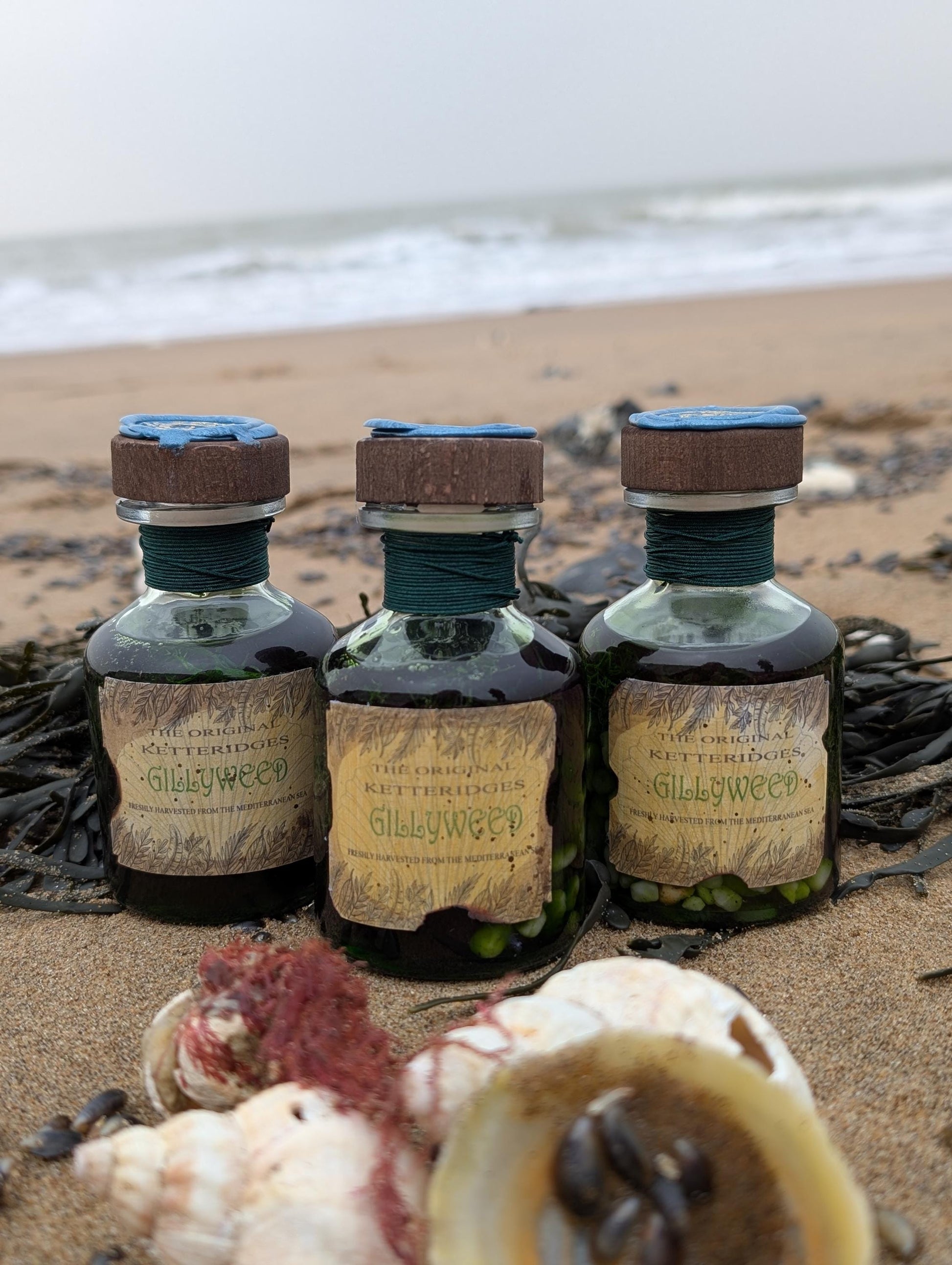 Gillyweed potion bottle