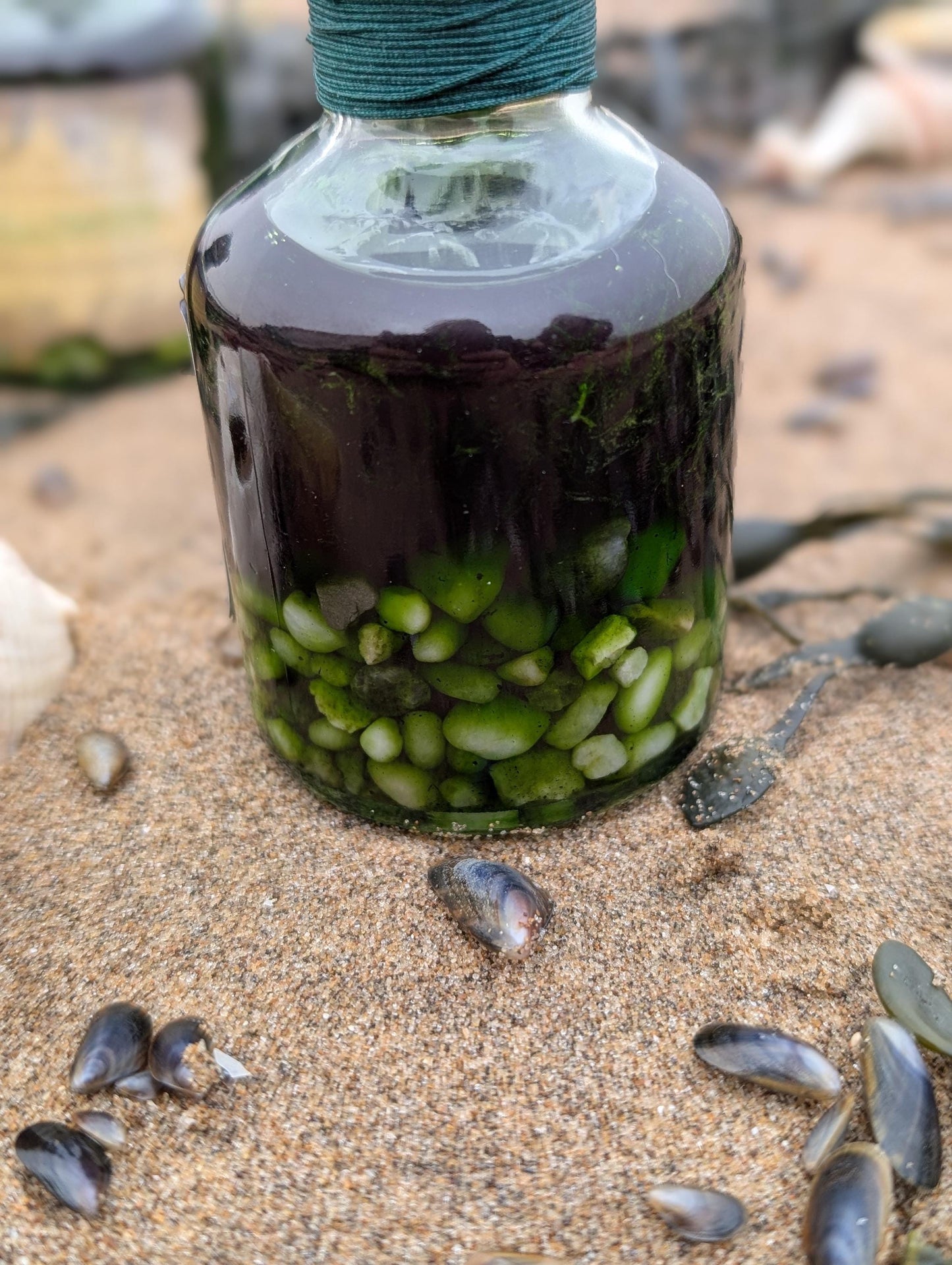 Gillyweed potion bottle