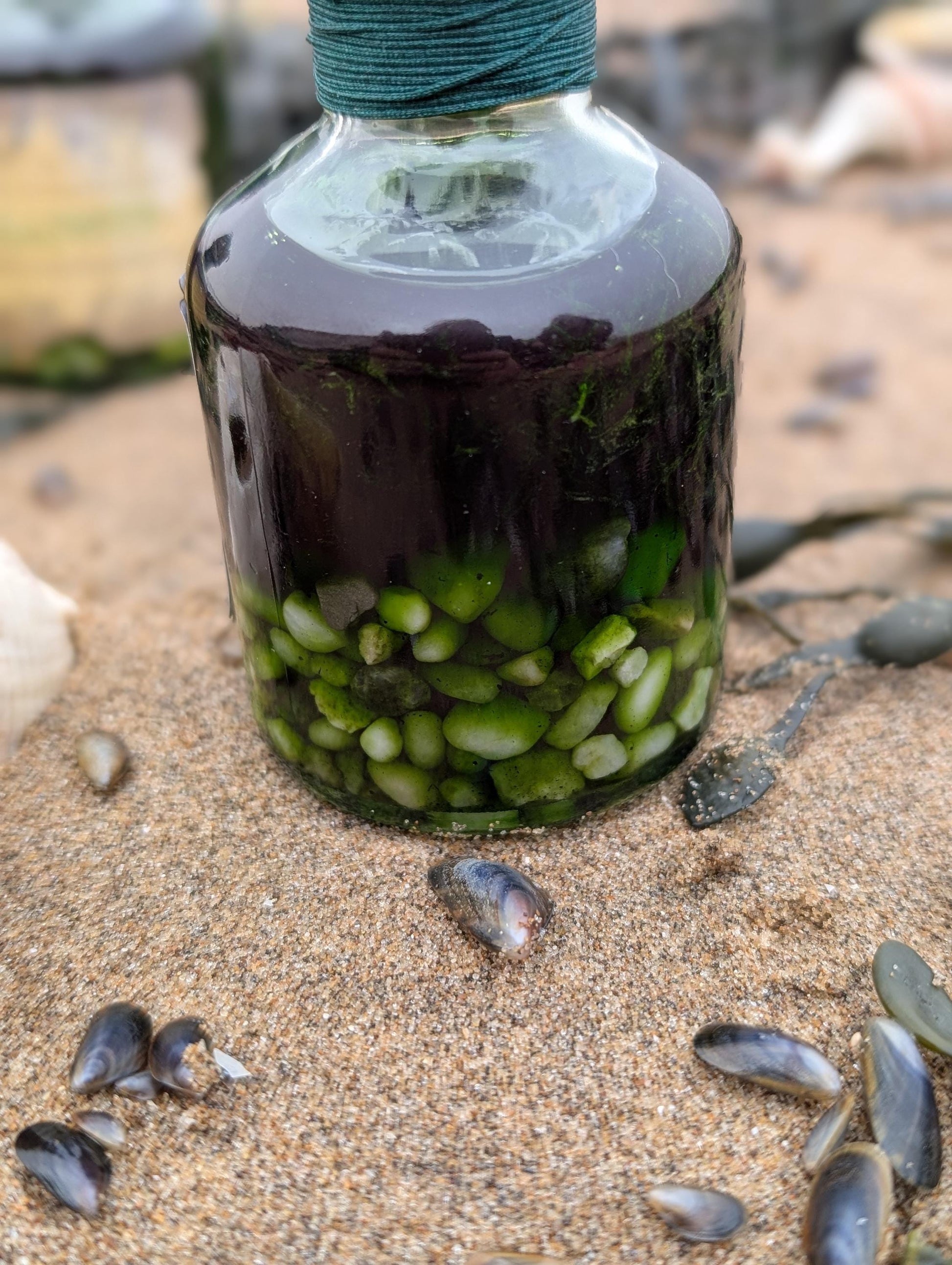 Gillyweed potion bottle