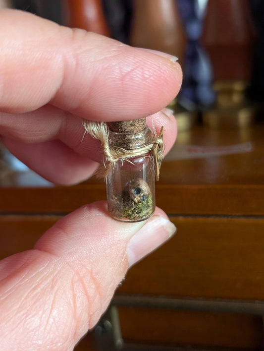 Miniature Skull Jar