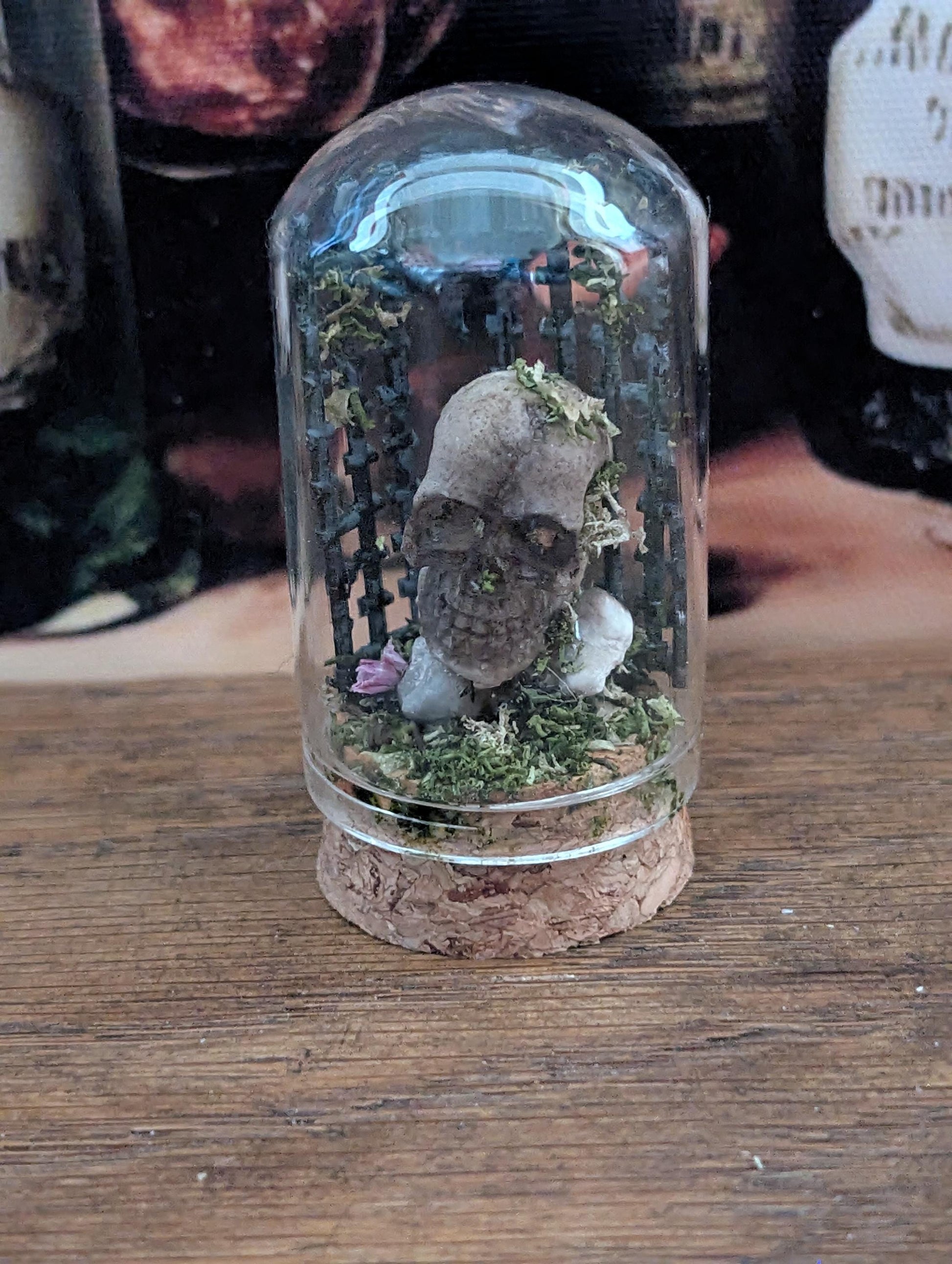 Crossbones Graveyard Skull curio
