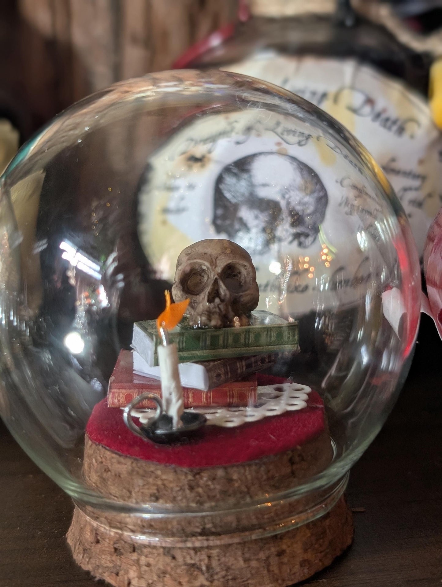 The Sombre Study Diorama cloche
