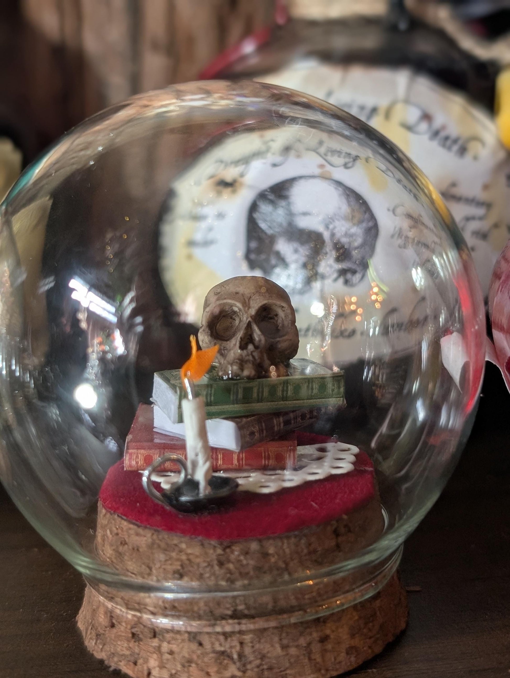 The Sombre Study Diorama cloche