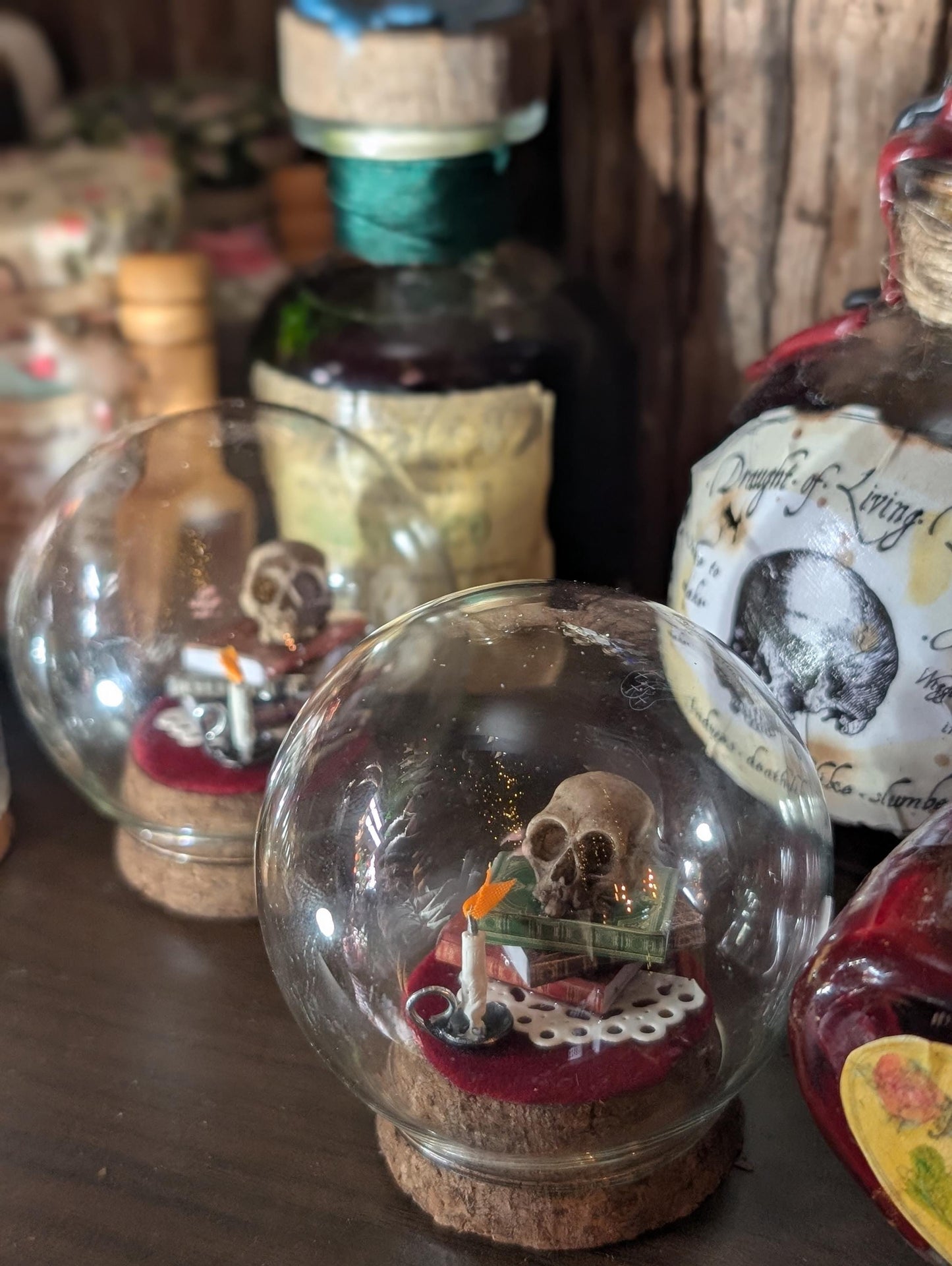 The Sombre Study Diorama cloche
