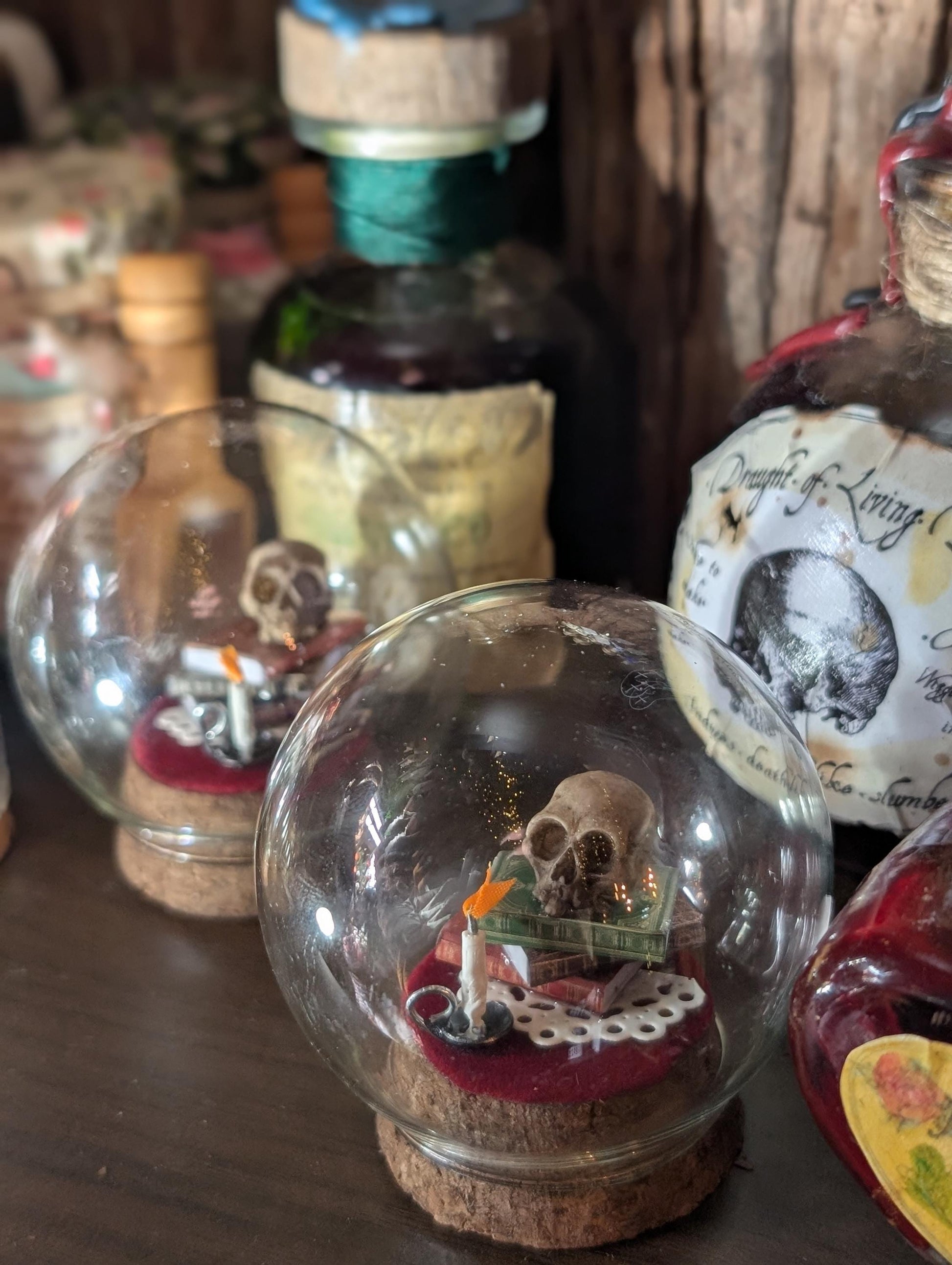 The Sombre Study Diorama cloche