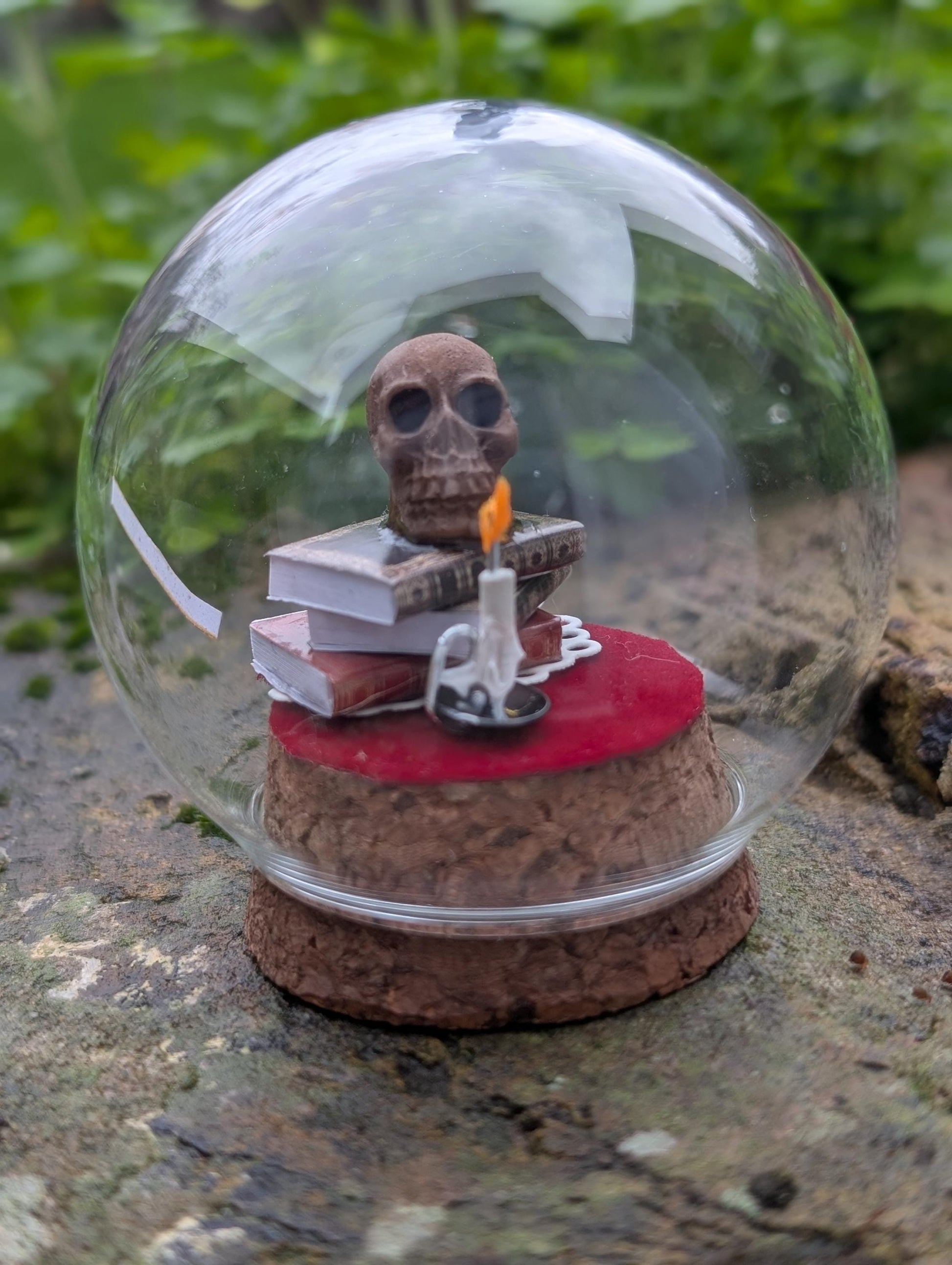 The Sombre Study Diorama cloche