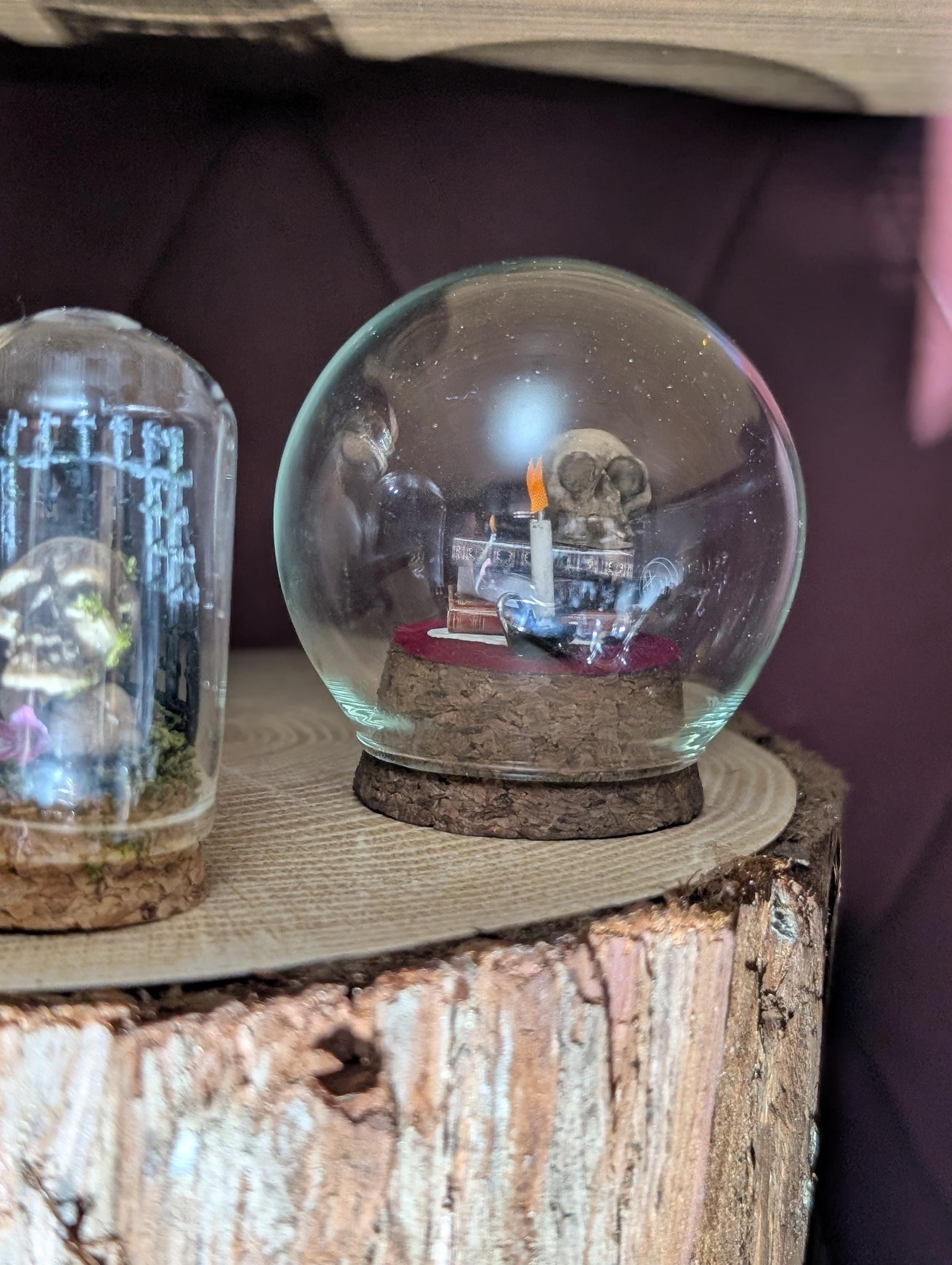 The Sombre Study Diorama cloche