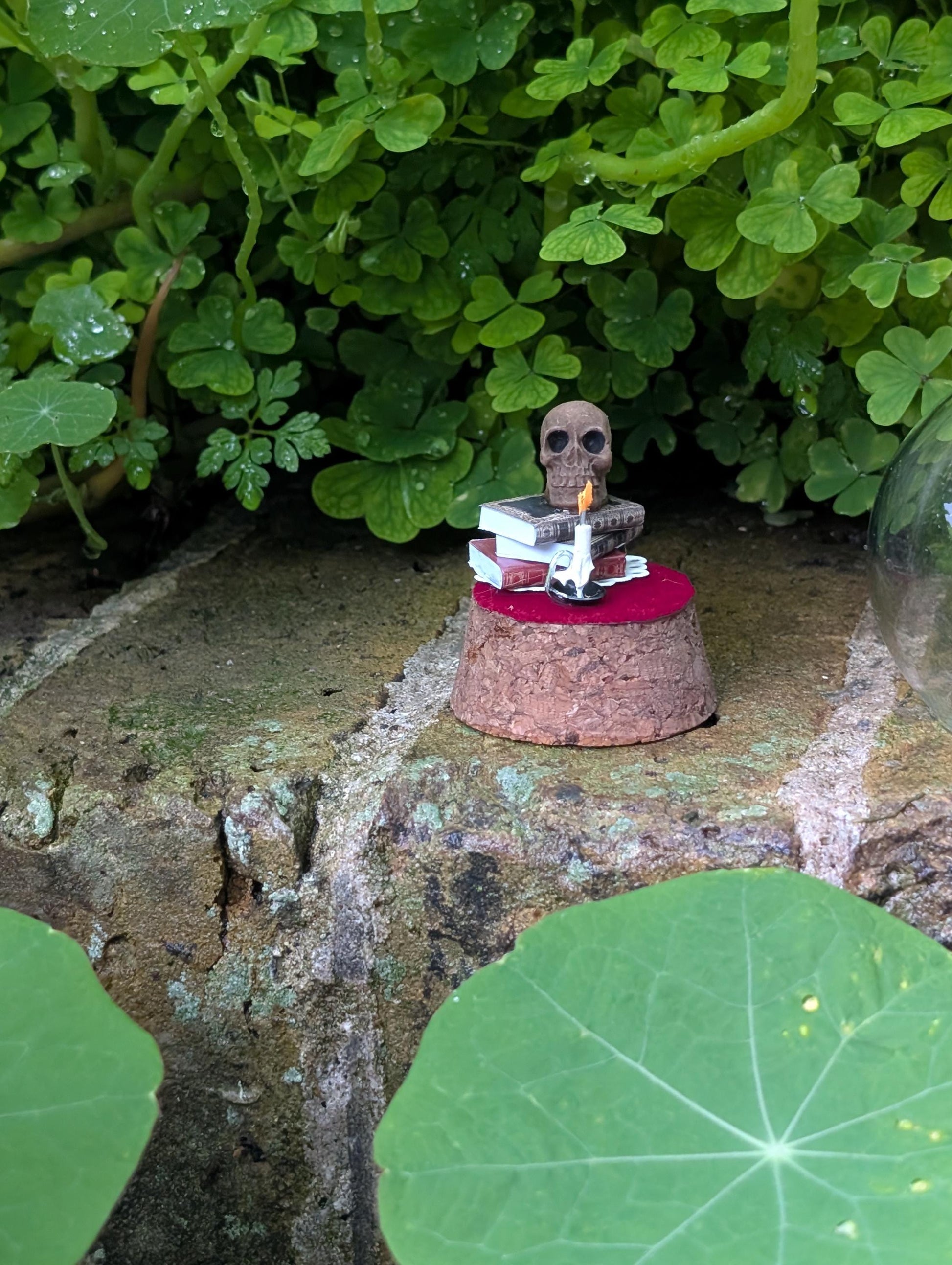 The Sombre Study Diorama cloche