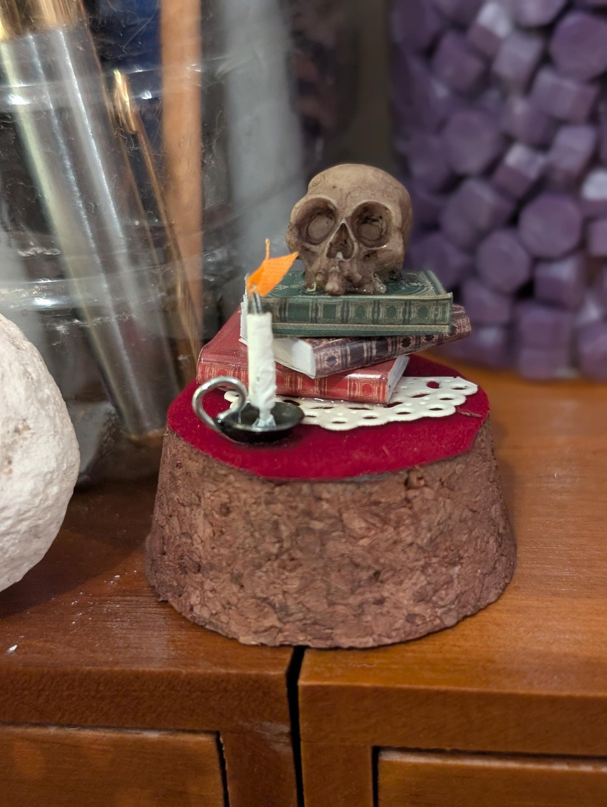 The Sombre Study Diorama cloche