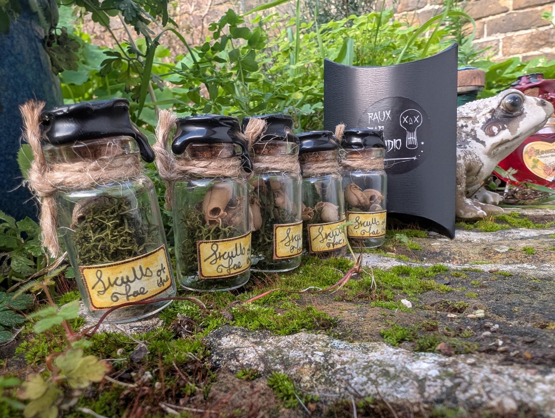 Skulls of the Fae version II
