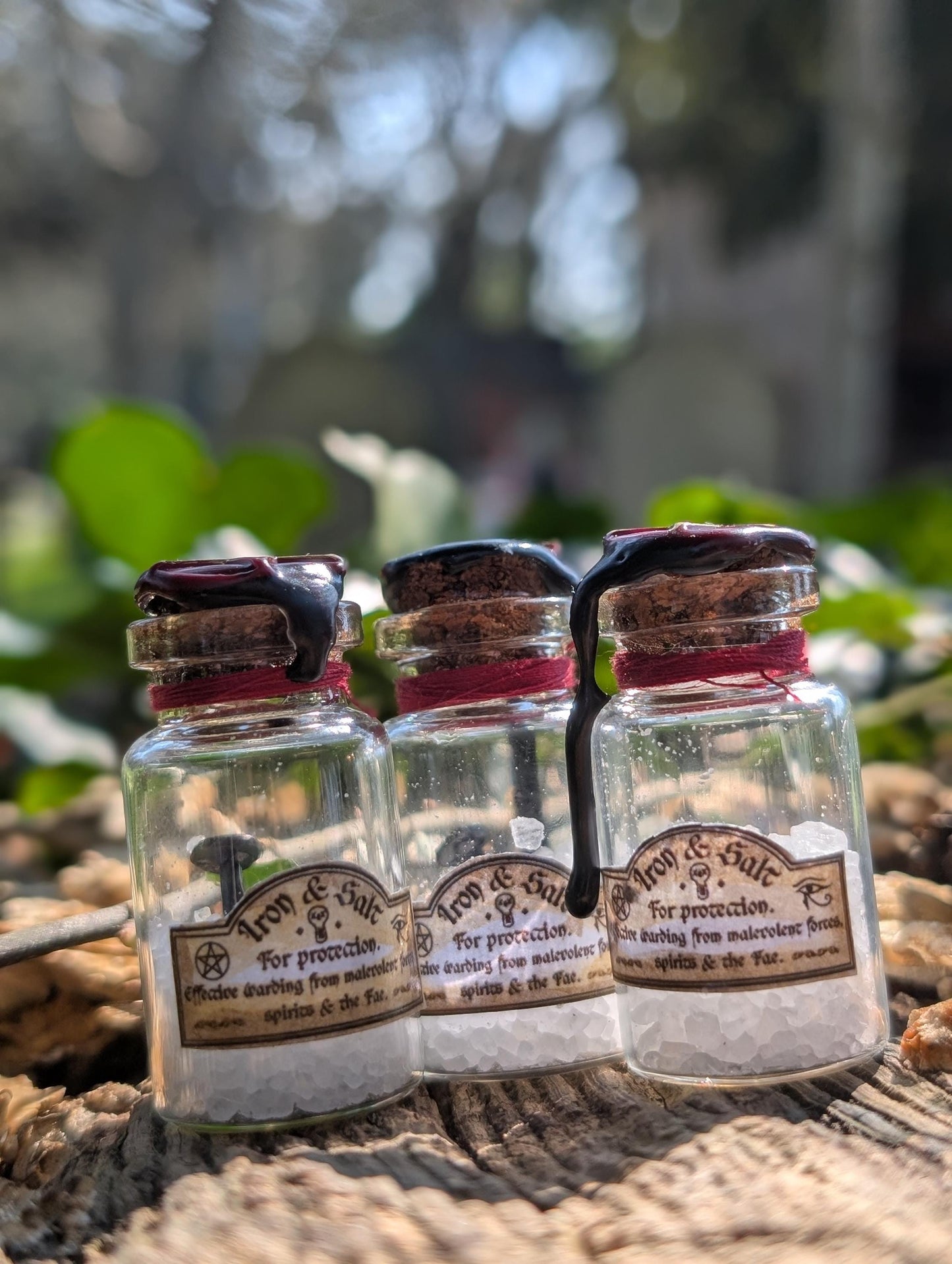 Iron and Salt protection spell bottle