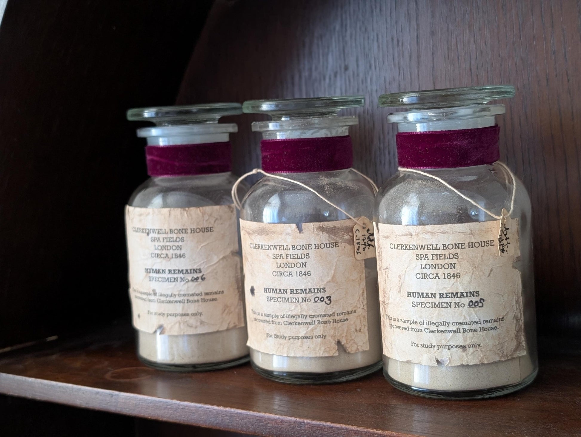Human Remains Specimen bottle (Faux cremations)