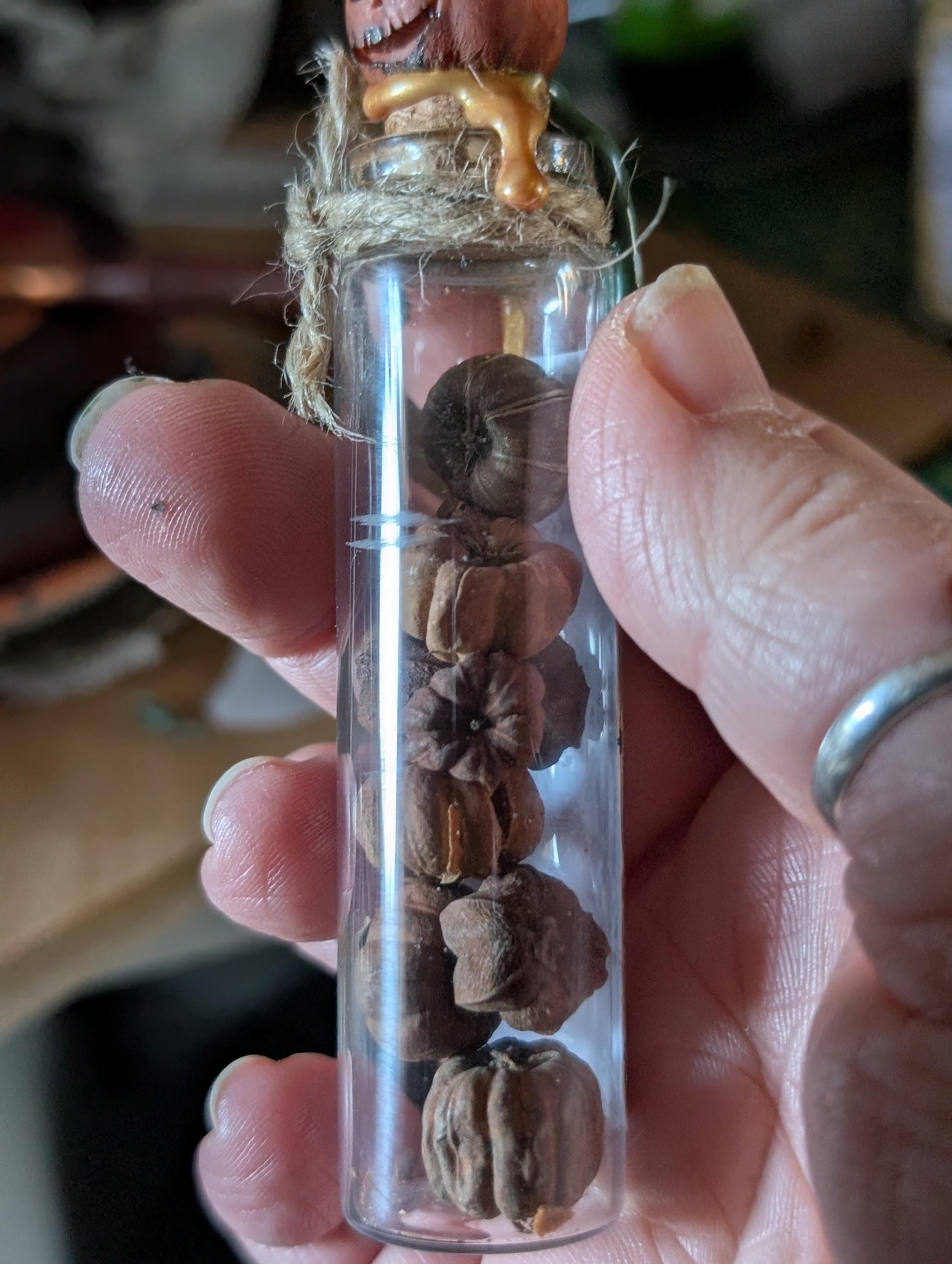 Shrivelled Pumpkins potion ingredient bottle