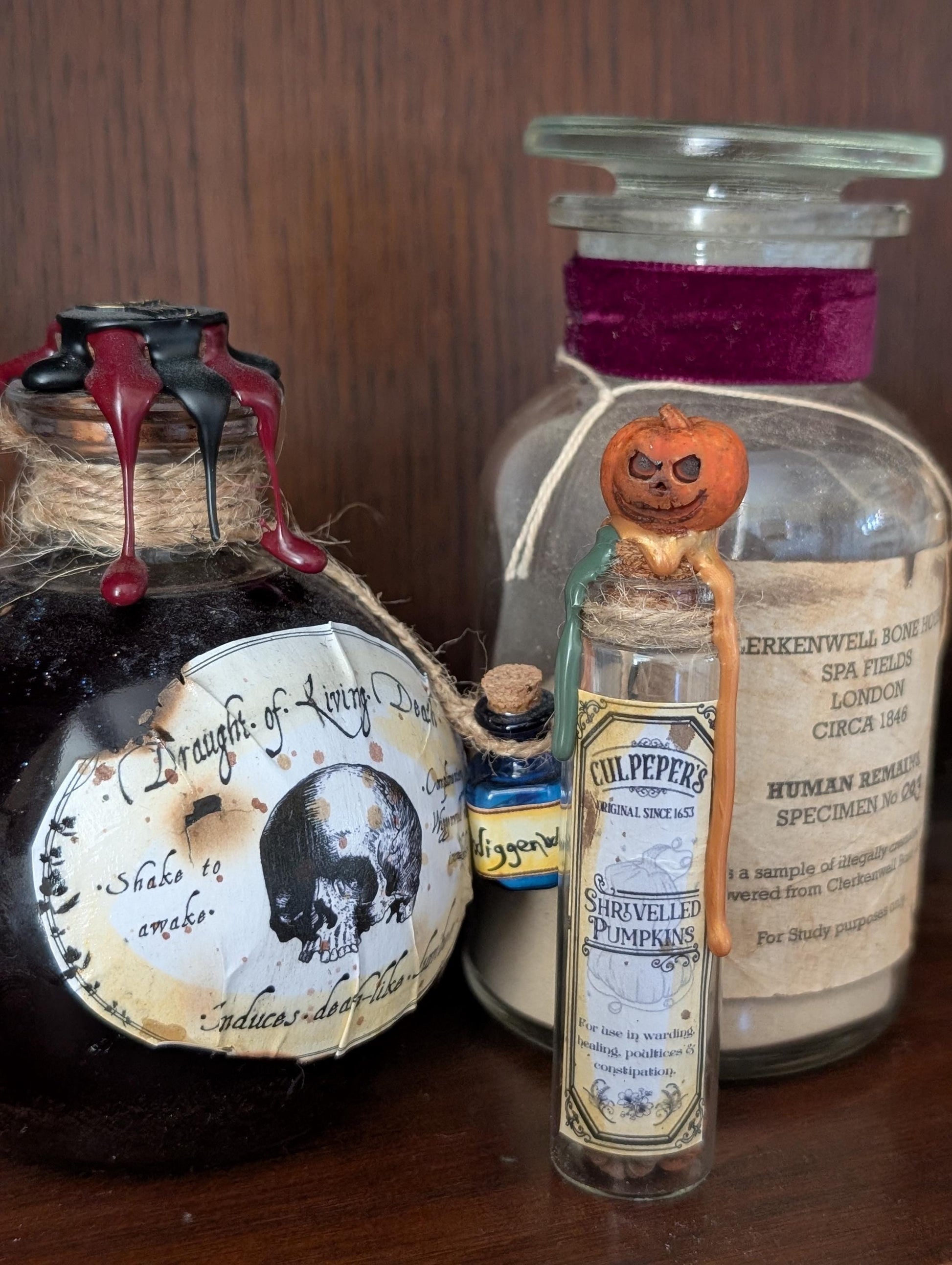 Shrivelled Pumpkins potion ingredient bottle