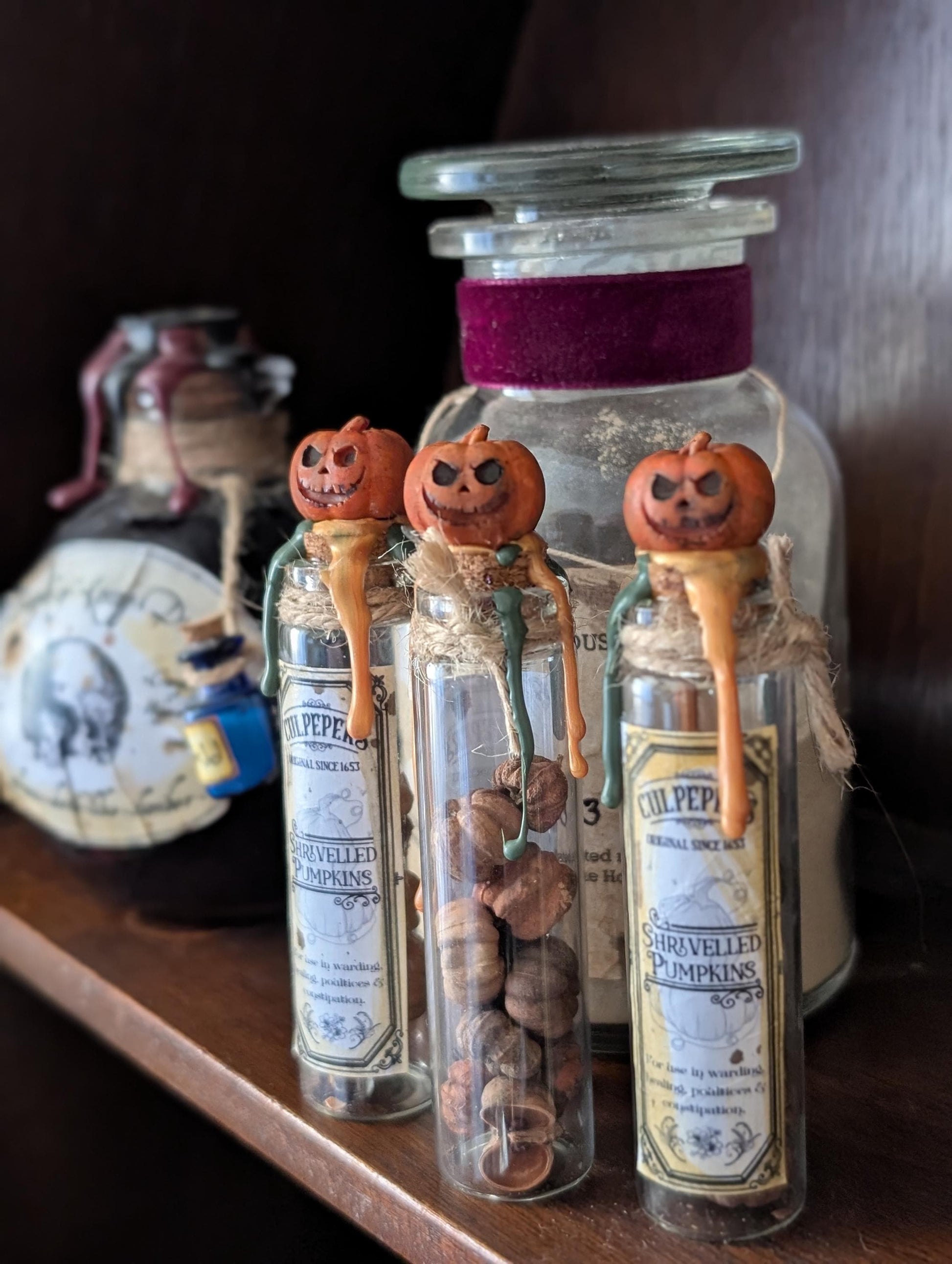Shrivelled Pumpkins potion ingredient bottle