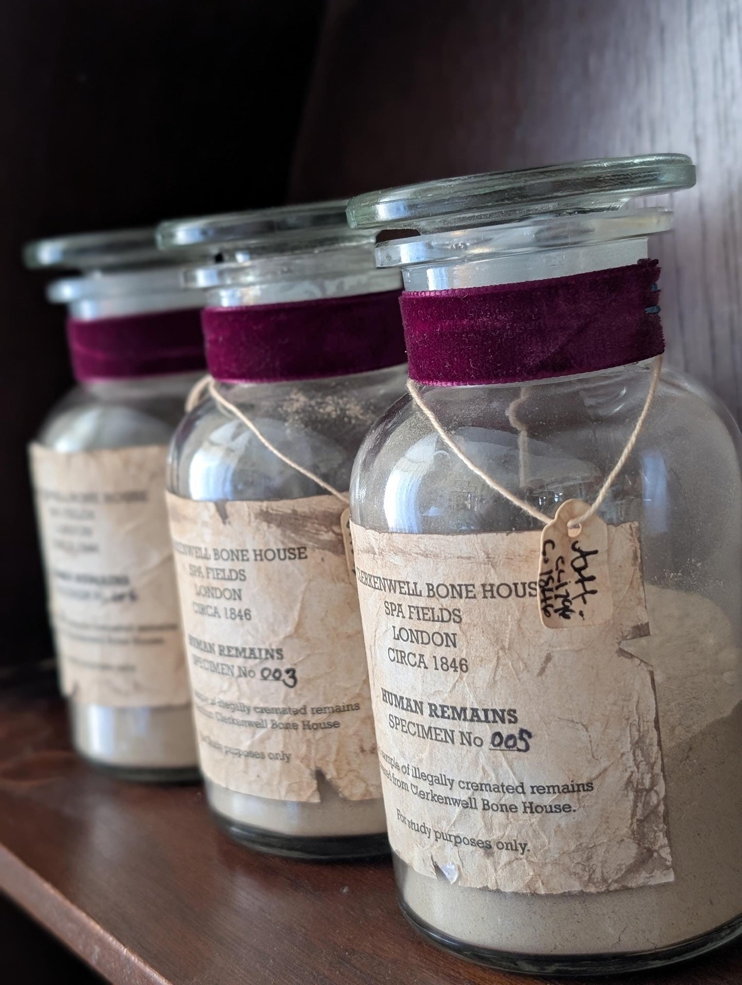 Human Remains Specimen bottle (Faux cremations)