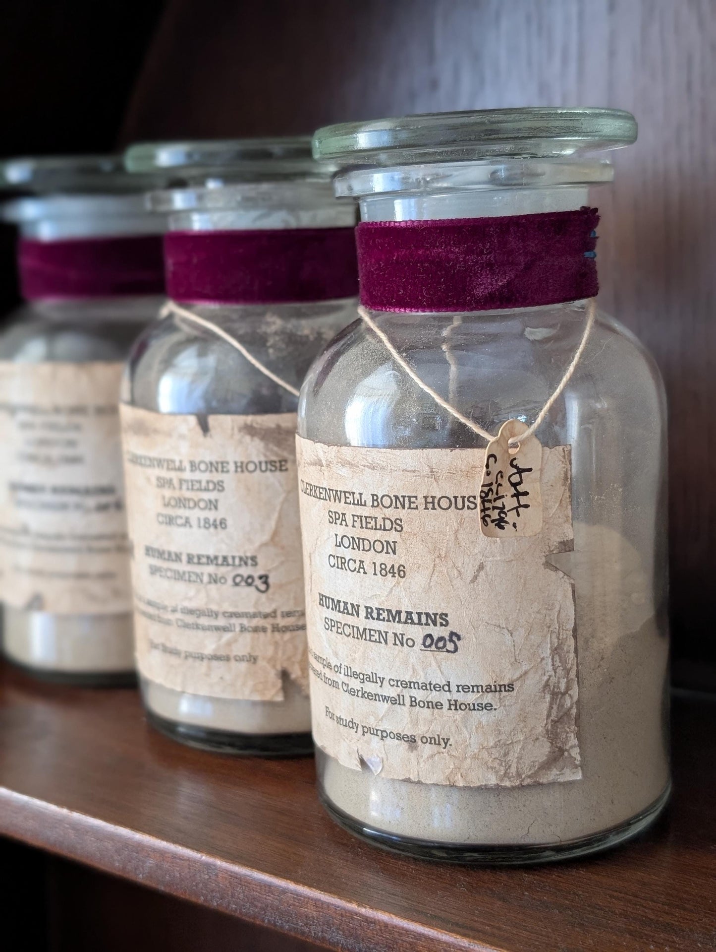 Human Remains Specimen bottle (Faux cremations)