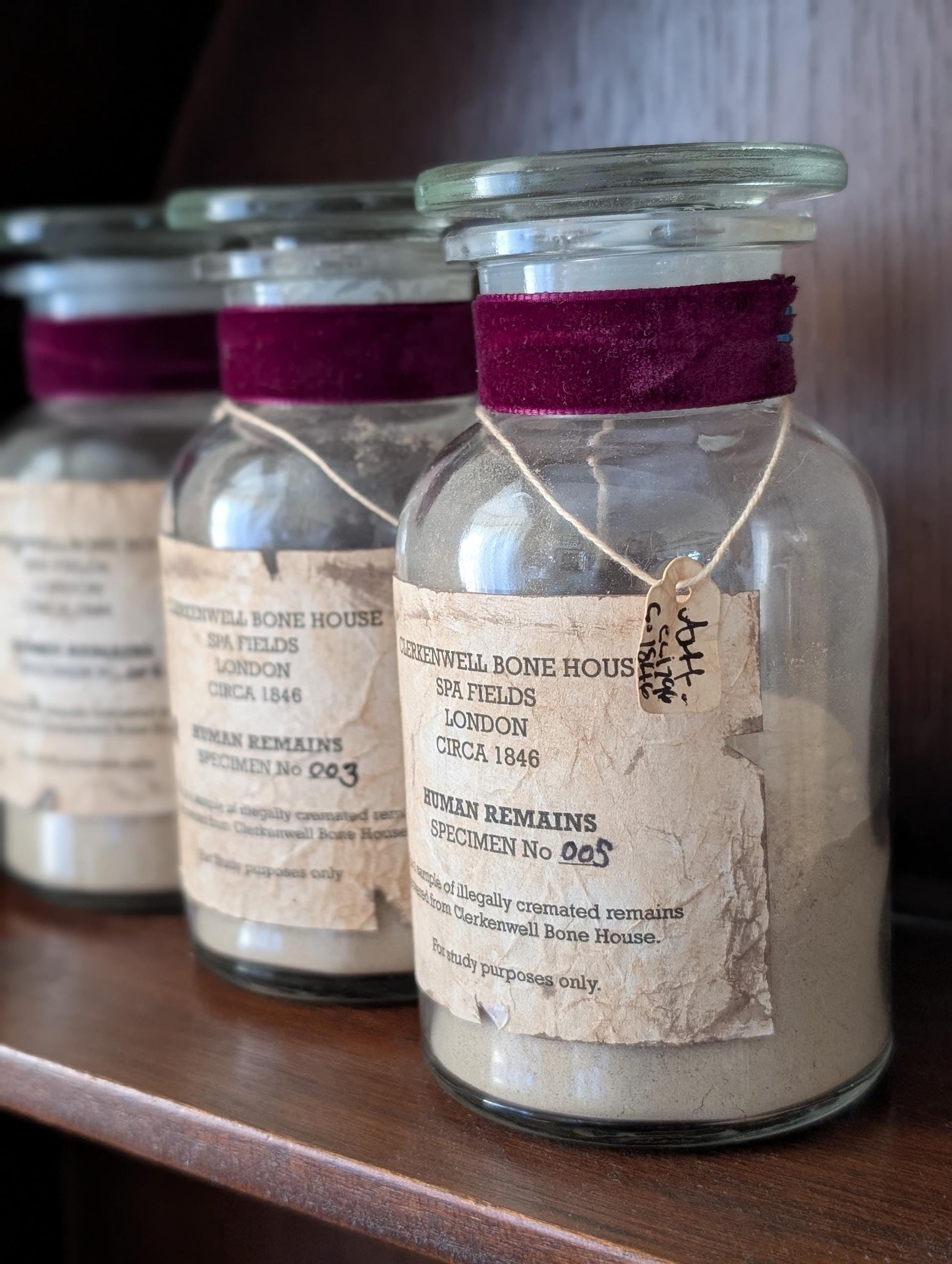 Human Remains Specimen bottle (Faux cremations)