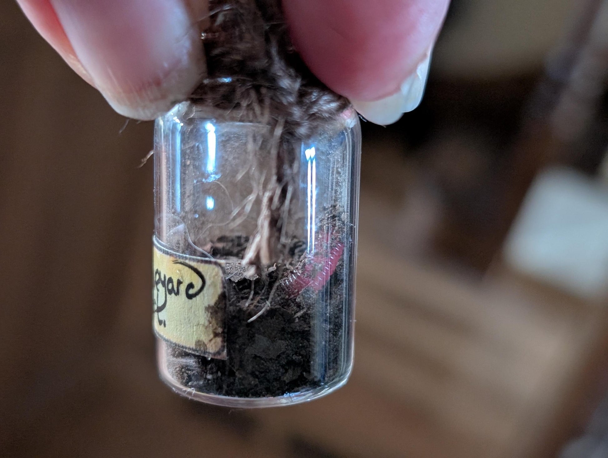 Graveyard Dirt potion ingredient bottle