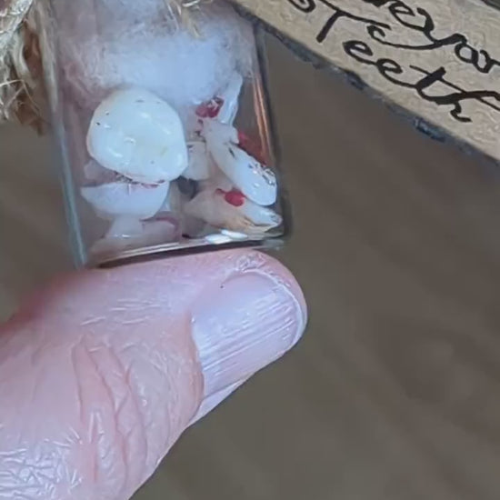 Graveyard Teeth, potion ingredient faux taxidermy