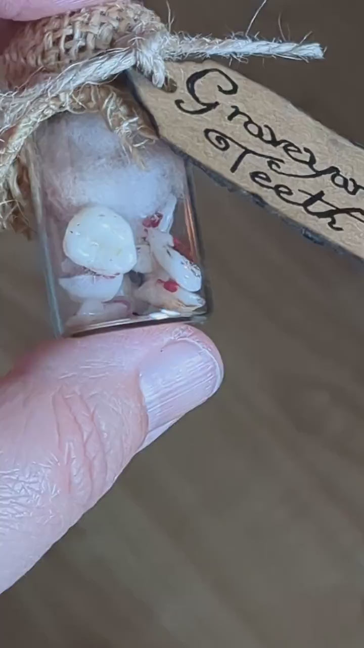 Graveyard Teeth, potion ingredient faux taxidermy