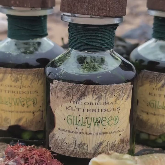 Gillyweed potion bottle