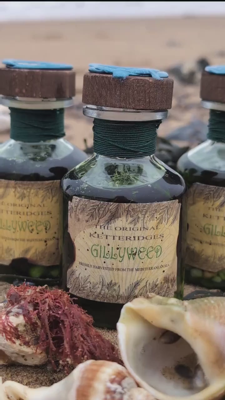 Gillyweed potion bottle